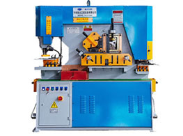 Hydraulic combined punching and shearing machine